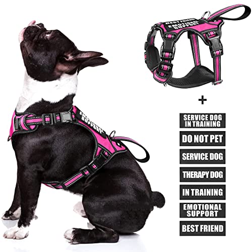 WINSEE Service Dog Vest No Pull Dog Harness with 7 Dog Patches, Reflective Pet Harness with Durable Soft Padded Handle for Puppies, Small, Medium, Large, and Extra-Large Dogs von WINSEE