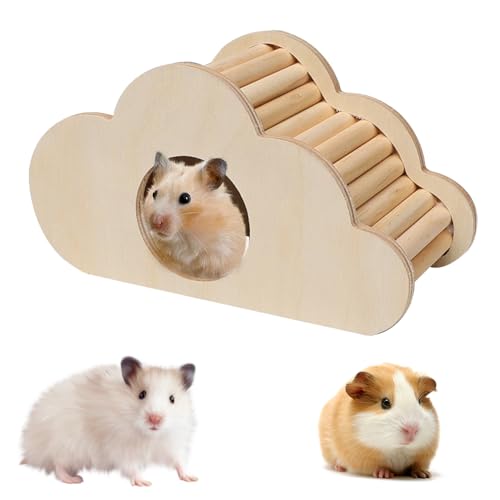 WIYETY Holz Hamsterhaus Hamster Versteck, Hamster Haus aus Holz, 17 * 8.5 * 8.8CM Meerschweinchen Haus, Zwerghamster Haus, Hamster meiden Treppenspielzeug für Hamster, Chinchilla, Eichhörnchen von WIYETY