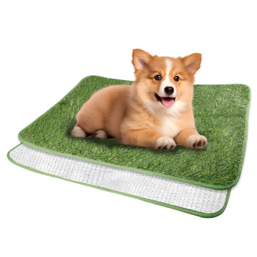 WIYETY Hundeklo Kunstrasen Hundetoilette, 40x60cm Welpentoilette Trainingsunterlage, Training Pee Pads, Waschbar Hunde Training Rasenmatte, Wasserdicht Hundetoilette für Zuhause, Wohnung von WIYETY