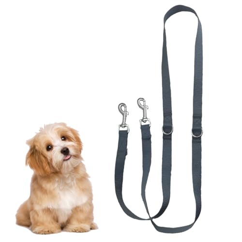 WJRQD Premium Nylon Dog Lead 1.77 m, Multifunktionsleine verstellbar für alle Hunde, robuste Hundeleine zum Trainieren und Gassi gehen von WJRQD