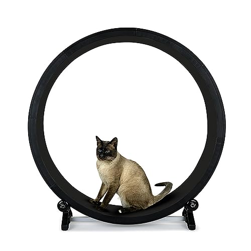 Laufband für Katzen, Laufband für Haustiere, Laufen mit Teppichboden, Klettergerüst aus Holz, Möbel, stummgeschalteter Trainer, Katzenspielspielzeug, Übungsrad, geräuschloser Roller, Heimtierbedarf von WJYCGFKJ