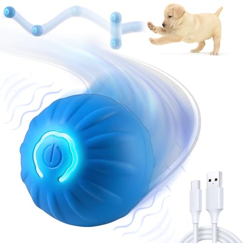 WLLEADG Shaky Ball Spielzeug für Hunde, Shaking Dog Ball, Interaktiver Hundeball, Vibrierender Ball für Hunde, Automatisch Beweglicher Hundespielzeug Ball für Kleine Mittlere Große Hunde, USB von WLLEADG