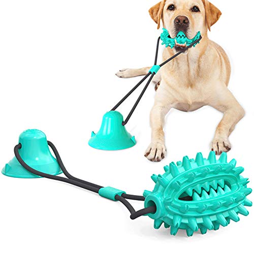 Doppelter Saugnapf Kordelzug Hundespielzeug Molar Stick Für Kleine Mittelgroße Hunde Haustier Multifunktions, Ungiftig Nylon Naturspielzeug Für Haustier Welpen Zahnpflege,Blau von WLQWER