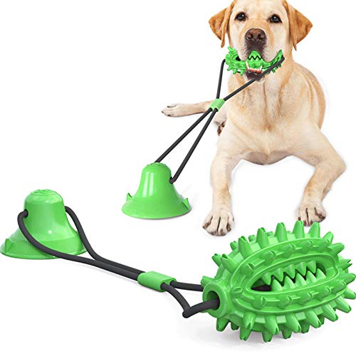 Doppelter Saugnapf Kordelzug Hundespielzeug Molar Stick Für Kleine Mittelgroße Hunde Haustier Multifunktions, Ungiftig Nylon Naturspielzeug Für Haustier Welpen Zahnpflege,Grün von WLQWER