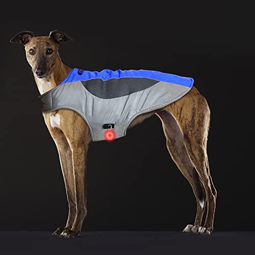 Gepolsterte verstellbare Hundejacke, beheizbare Hundeweste mit LED-Licht, gemütliche und winddichte Hundejacke für kleine und mittelgroße Hunde (XL, Blau und Grau) von WNING