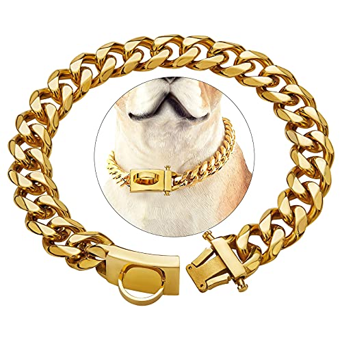 Hundehalsband aus Gold mit Schnalle für sicheres Design, kaufest, Leinenhalsband aus robuster Trainingskette aus rostfreiem Stahl (16'', Gold) von WNING