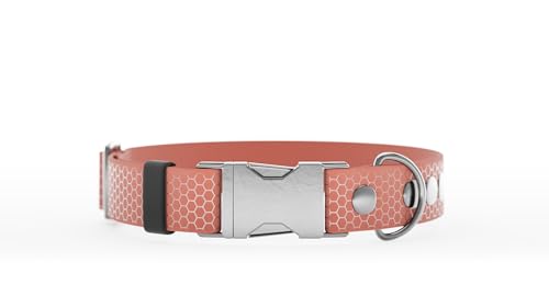 Handgemachtes Schnalle Hundehalsband 20mm L Apricot von WNM Group