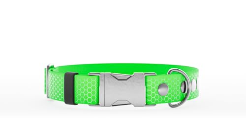Handgemachtes Schnalle Hundehalsband 20mm L Grün von WNM Group