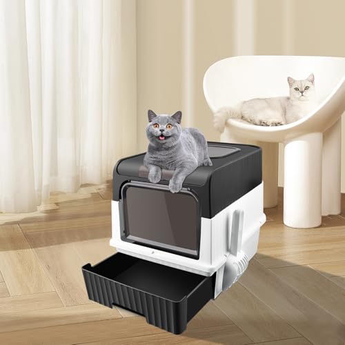 Katzentoilette, Katzentoilette für Katzen, geschlossene Katzentoilette, Standard-Katzentoilette mit 1 Lufterfrischerbeutel, Schublade + Streuschaufel, 49 x 37 x 35 cm (Schwarz) von WODFARR