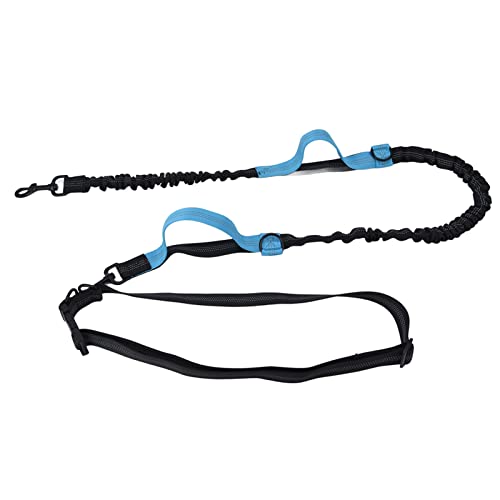 Hundeleine, reflektierender Nylon-gepolsterter Griff, tragbar, verstellbares Hunde-Traktionsseil für Spaziergänge, Training, Laufen, mittlere bis große Rassen (Blue) von WOHPNLE