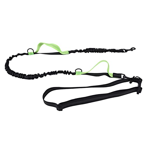 Hundeleine, reflektierender Nylon-gepolsterter Griff, tragbar, verstellbares Hunde-Traktionsseil für Spaziergänge, Training, Laufen, mittlere bis große Rassen (Green) von WOHPNLE