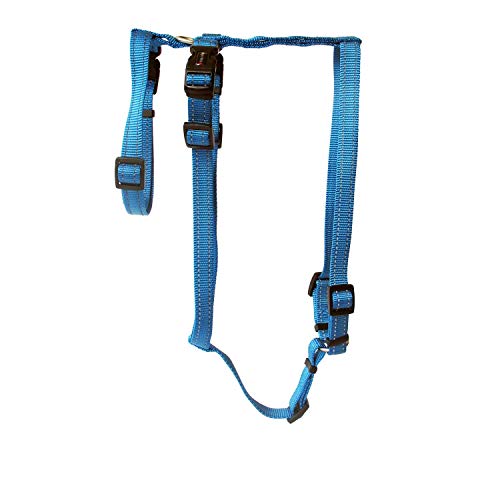 Wolters Geschirr Soft & Safe No Escape, Größe:L 50-70 cm, Farbe:Aqua von Wolters Cat & Dog