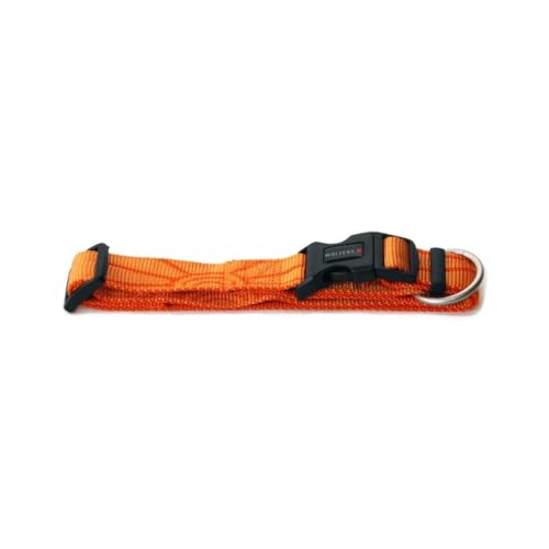 WOLTERS Halsband Sunset, Größe:19-28 cm x 10 mm, Farbe:orange von WOLTERS