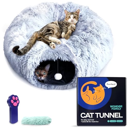 Katzentunnel und Katzenspielzeug für Indoor-Katzen – Faltbare Katzentunnel für Indoor-Katzen + Katzenspielzeug – gemütliches Plüsch-Katzentunnelbett – sichere Katzentunnel & Kätzchenspielzeug für von WONDER FAMILY