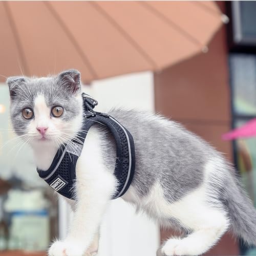 Katzengeschirr und Leine, ausbruchsicher, verstellbar, Kätzchen-Westengeschirr zum Gehen, einfache Kontrolle, weiche, atmungsaktive Netzjacke mit reflektierenden Streifen für Katzen (schwarzes Netz, von WONNABUY