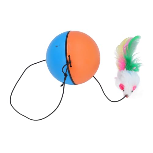 WONZHEC Interaktive Katzenballspielzeug automatisch intelligent Rolling Ball entlasten Langeweile Biss selbst rotierende Spielzeugkugeln für Katzen (Blau Orange) von WONZHEC