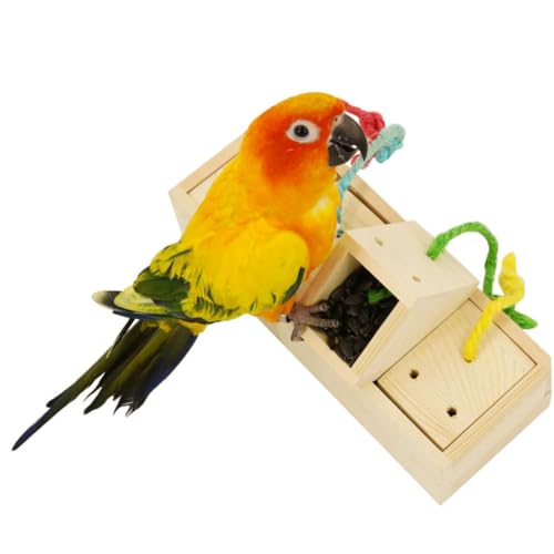 WOONEKY 1pc Parrot Forager Holz Papagei Futtersuche Box Pädagogische Vogel Futter Feeder Spielzeug Knabbern Interaktive Vogelzubehör Bissbeständige Vogel Futter Spielzeug Für Den Innenhof von WOONEKY