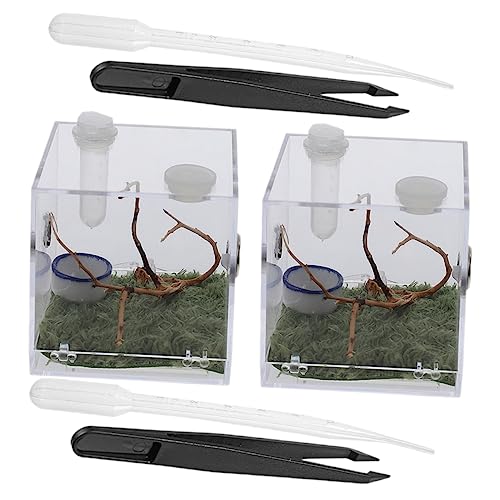 WOONEKY 2 Sets Terrarium Tarantel Lebensräume Haus Reptilien Flucht Fall Transparent Schneckenkäfig Schneckenbehälter Tarantel Terrarium Gehege Tank Acryl Florida Crawl von WOONEKY