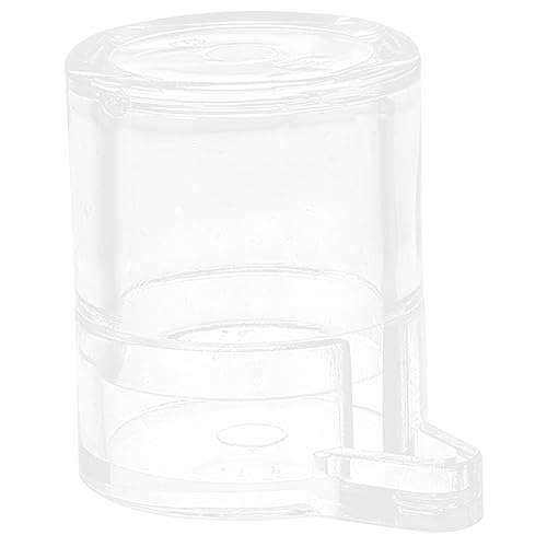 WOONEKY 4 Stück Wasserspender Für Haustiere Mini Ameisennest Ameisen Nisten Im Wasserfutterbereich Ameisen Fressen Ameisenfarm-zubehör Futterautomat Für Haustiere Transparent Acryl von WOONEKY