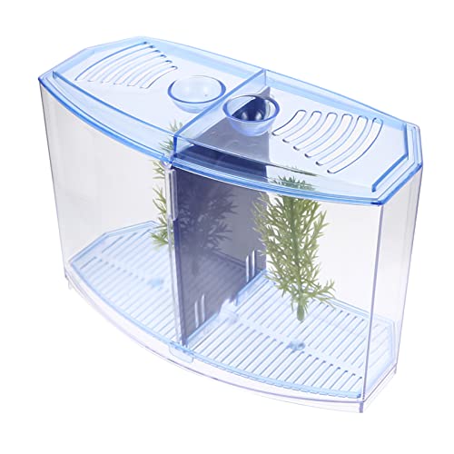 WOONEKY Betta-Box Aquarium-dekor Aufzucht Für Aquarienfische Tischzubehör Klares Aquarium Kleines Aquariumbecken Klares Fischbecken Mini-Aquarium Guppy-fischnetz Leichter Kunststoff Blue von WOONEKY