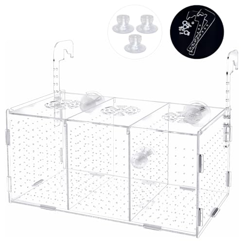 Fischzucht Kasten mit Saugnäpfen, Isolationsbox Aquarium, Acryl Aquarium Isolationsbox, Aquarienfisch-Zuchtbox Transparente Fische Sämlinge Inkubator Brutkasten, Aufzuchtbecken Aquarium für Babyfische von WOOWAIR