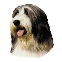 Großer Aufkleber, 2er Packung [Bearded Collie] von WORLD STICKERS K.H.S.Dekal