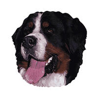 Großer Aufkleber, 2er Packung [Berner Sennenhund] von WORLD STICKERS K.H.S.Dekal