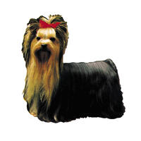 Großer Aufkleber, 2er Packung [Yorkshire Terrier, stehend] von WORLD STICKERS K.H.S.Dekal