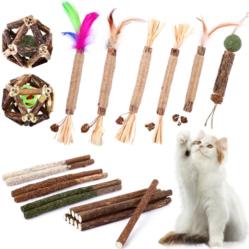 WOUSEDO - Katzenminze-Kauspielzeug für Katzen, 24 Stück, Silvervine Katzenspielzeug, Silvervine Natural Cat Sticks, Silvervine Natural von WOUSEDO