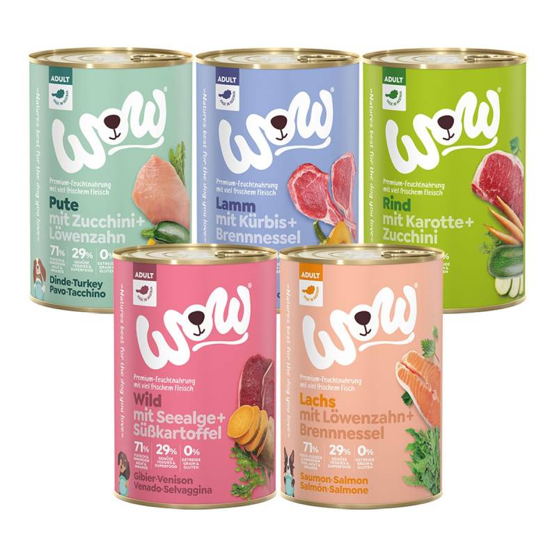 WOW Dog Mixpaket Adult 30x400g von WOW!