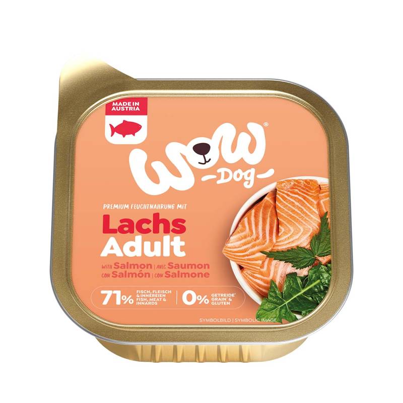 WOW Adult Lachs mit Löwenzahn und Brennnessel 11x150g von WOW!