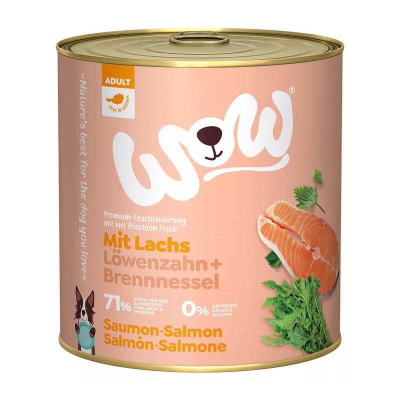 WOW Adult Lachs mit Löwenzahn und Brennnessel 6x800g von WOW!