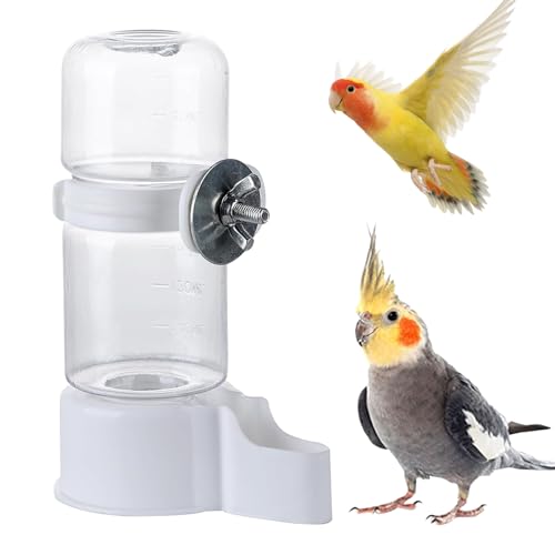 WQY Groceryshop Pet Bird Water Feeder, 13,4 cm Papageien-Wasserspender für Käfig, Vogelkäfig, hängender automatischer Wasserspender, Vogelfutterspender für Sittiche, Wellensittiche, Nymphensittiche, von WQY GroceryShop