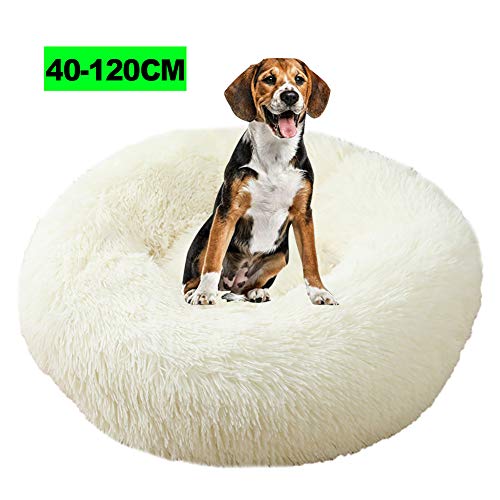 Flauschiges Hundebett, Deluxe Haustierbett Katzenbett Hundebett Flauschig Plüsch Hundesofa Katzensofa Kissen Hundebetten für Mittlere Hunde, Weich Katzen Hund Donut Bett 60CM Weiß von WSGJHB