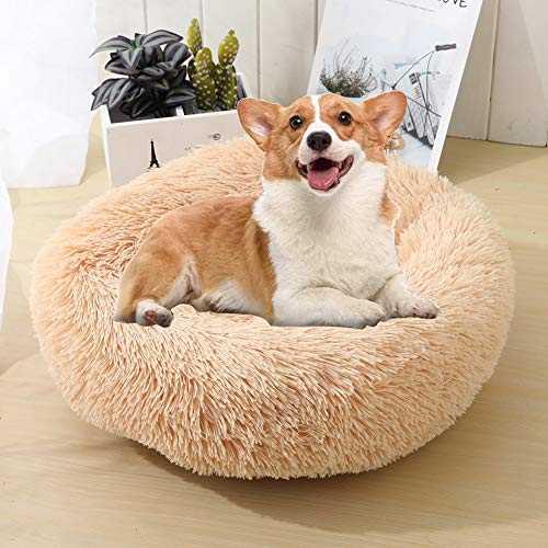 WSGJHB Deluxe Haustierbett Rundes Flauschiges Hundebett Donut Körbchen Hund Haustiernest Katzenbett Hundesofa Katzensofa Kissen Weich Waschbar Für Katzen Hunde,Champagner,120cm von WSGJHB