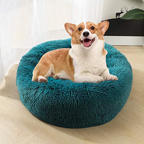 WSGJHB Deluxe Haustierbett Rundes Flauschiges Hundebett Donut Körbchen Hund Haustiernest Katzenbett Hundesofa Katzensofa Kissen Weich Waschbar Für Katzen Hunde,Cyanblau,100cm von WSGJHB