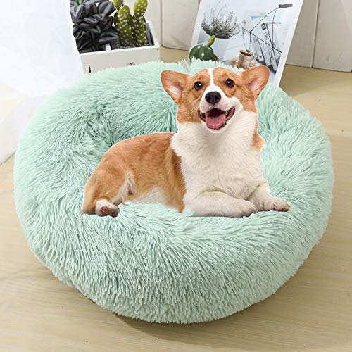 WSGJHB Deluxe Haustierbett Rundes Flauschiges Hundebett Donut Körbchen Hund Haustiernest Katzenbett Hundesofa Katzensofa Kissen Weich Waschbar Für Katzen Hunde,Fruchtgrün,100cm von WSGJHB