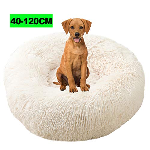 WSGJHB Flauschiges Hundebett, Deluxe Haustierbett Katzenbett Hundebett Flauschig Plüsch Hundesofa Katzensofa Kissen Hundebetten für Mittlere Hunde, Weich Katzen Hund Donut Bett 60CM Beige von WSGJHB