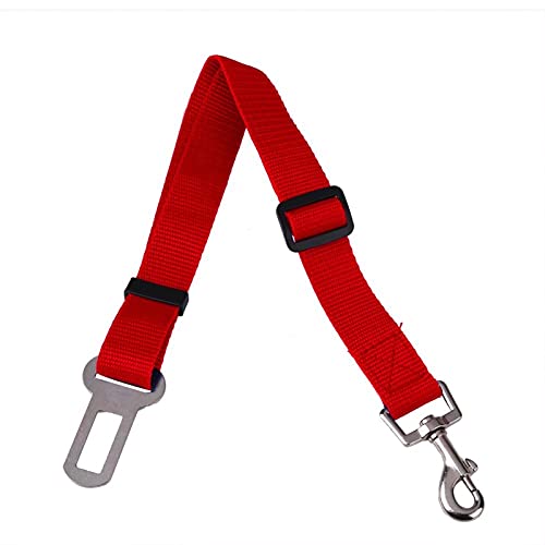 Hunde Sicherheitsgurt fürs Auto 2 stücke Hundeleine gerollt Verstellbare Hunde Auto Sitzgurt Harness Welpen Katzen Auto Sicherheitsgurt Blei Traktionsseil Haustiere liefert (Color : Red) von WTAXBH