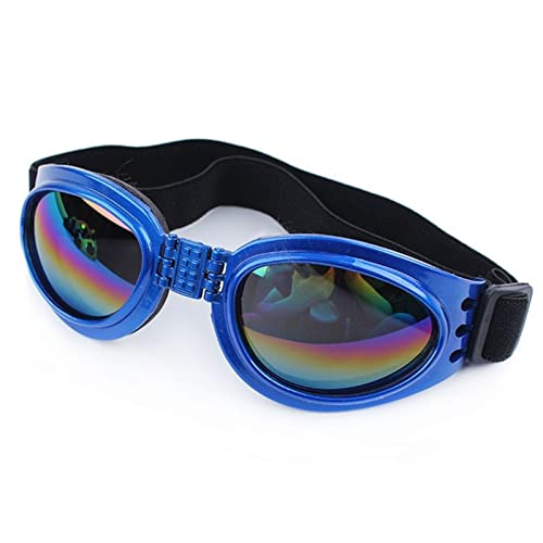 WTAXBH Hunde Sonnenbrille 5 Farben Faltbare Haustierhundgläser mittelgroße Hund Haustiergläser Haustier Brillen wasserdichte Hund Schutzbrille Brille Uv. Sonnenbrille (Color : Blue) von WTAXBH