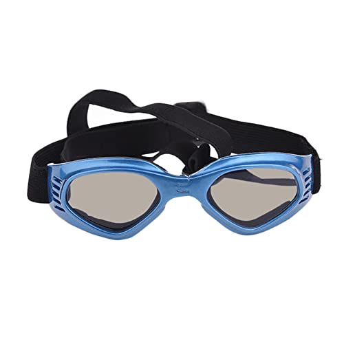 WTAXBH Hunde Sonnenbrille 5 Farben süße Haustier Hund Sonnenbrille Sonnenbrille Haustier Katze Brille Auge tragen welpen augenschutz Haustier zubehör Haustier Dekoration (Color : Blue) von WTAXBH