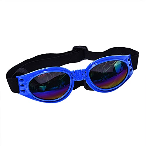 WTAXBH Hunde Sonnenbrille 5 Farben süße Haustier Hund Sonnenbrille Sonnenbrille Haustier Katze Brille Auge tragen welpen augenschutz Haustier zubehör Haustier Dekoration (Color : Multicolor) von WTAXBH