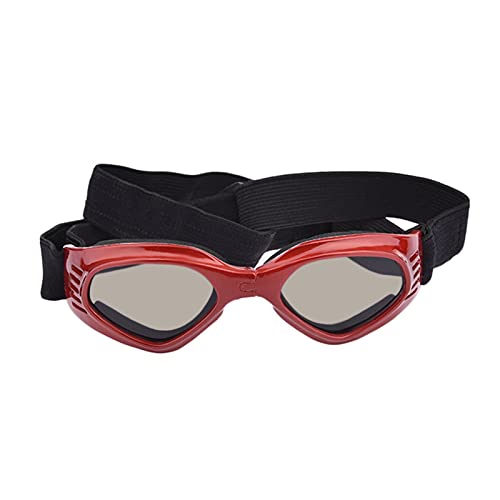 WTAXBH Hunde Sonnenbrille 5 Farben süße Haustier Hund Sonnenbrille Sonnenbrille Haustier Katze Brille Auge tragen welpen augenschutz Haustier zubehör Haustier Dekoration (Color : Red) von WTAXBH