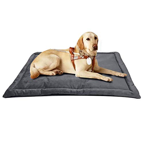 Hundebett Zwinger Baumwolltuch Nest für kleine mittelgroße Hunde Weiche Hundekissen Warm Winter Haustier Welpen Katzen Bett Sofa Hundematte Haustierzubehör, Schwarz, 89x58cm von WTMLK