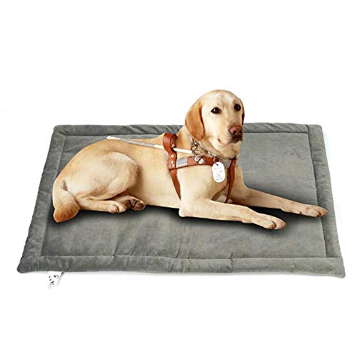 Hundebett Zwinger Baumwolltuch Nest für kleine mittlere Hunde Weiche Hundekissen Warme Winter Haustier Welpen Katzen Bett Sofa Hundematte Haustierzubehör, Mokka, 74x53cm von WTMLK