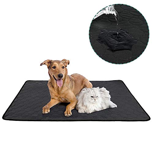 Pfotenabdruck Hund Katze Wurf Matte Welpe Kitty Dish Futterschale Tischset Tablett Ordentlich Leicht zu reinigen Isomatte, 28x40 Zoll von WTMLK