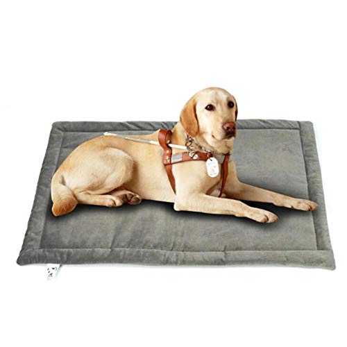 Zwinger Baumwolltuch Nest für kleine mittlere Hunde Weiche Hundekissen Warme Winter Haustier Welpen Katzen Bett Sofa Hundematte Haustierzubehör, Grau, 102x69cm von WTMLK