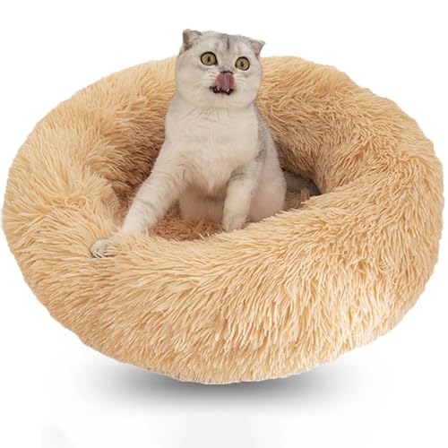 WTZHHK Hundekissen Rund Hundebetten Katzenbett Flauschig Bequem Waschbar für Katzen und Hunde Katzenkorb (Color : Beige, Size : 19.5" 50cm) von WTZHHK