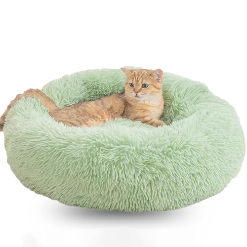 WTZHHK Hundekissen Rund Hundebetten Katzenbett Flauschig Bequem Waschbar für Katzen und Hunde Katzenkorb (Color : Green, Size : 15.7" 40cm) von WTZHHK