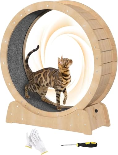 WUDLEP Katzen-Trainingsrad Katzenräder für Indoor-Katzen, Katzenlaufrad mit Teppichlaufbahn, Katzenlaufband Laufband Trainingsgerät für Kittys längeres Leben, Kunststoff-Katzenrad für Fitnessgewicht von WUDLEP